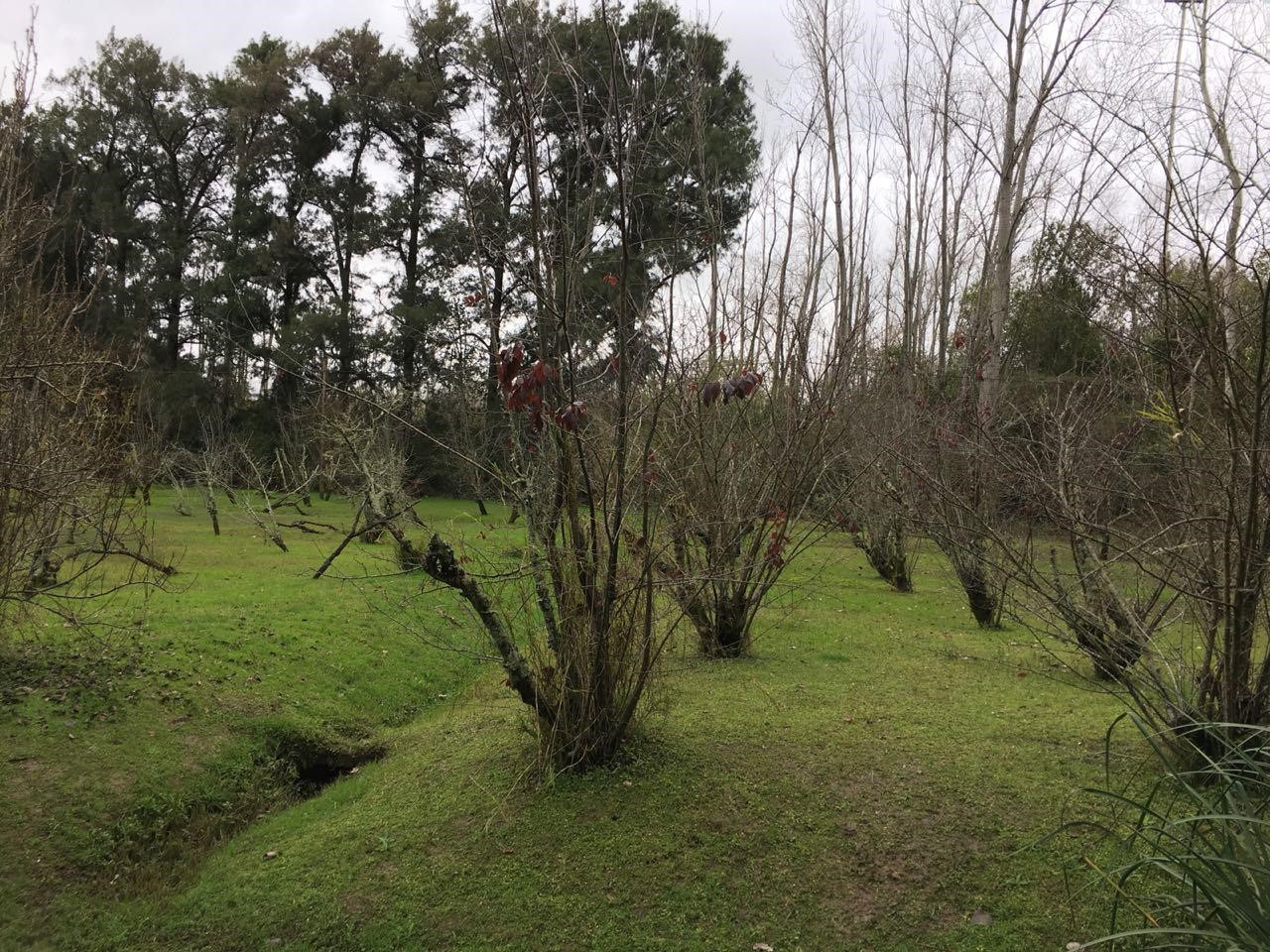image 35