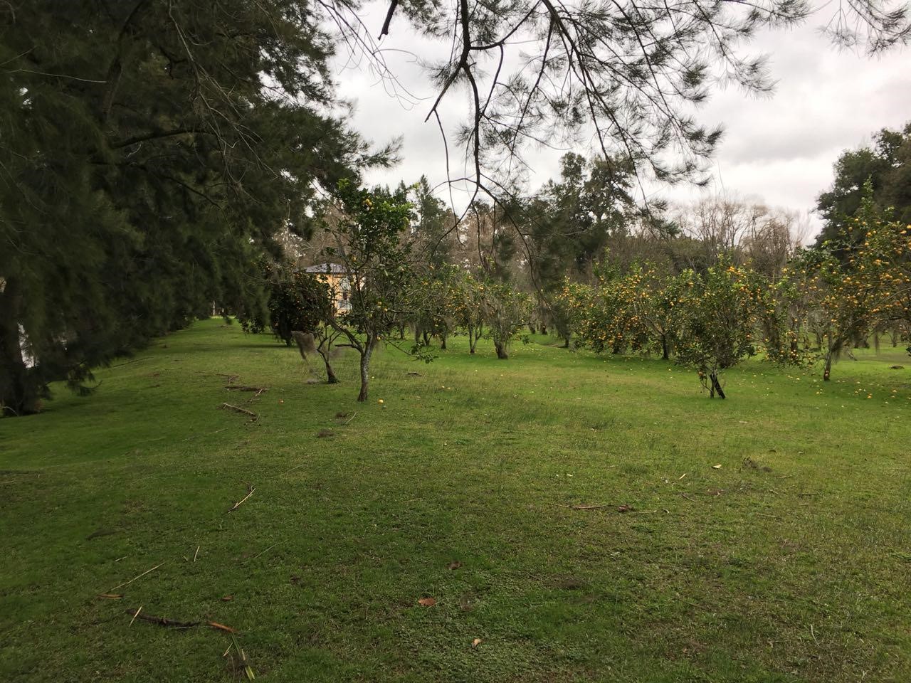 image 37