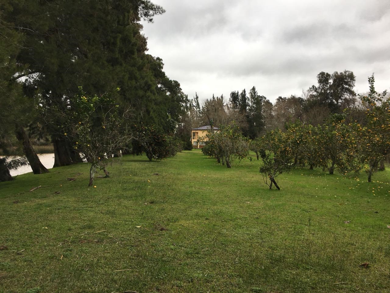 image 38