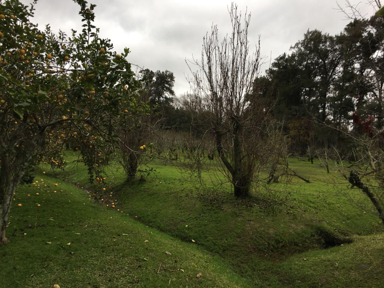 image 39