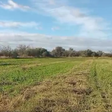 Campo de 5 hectáreas con riego, Cruz del Eje, ¡Gran ubicación!
