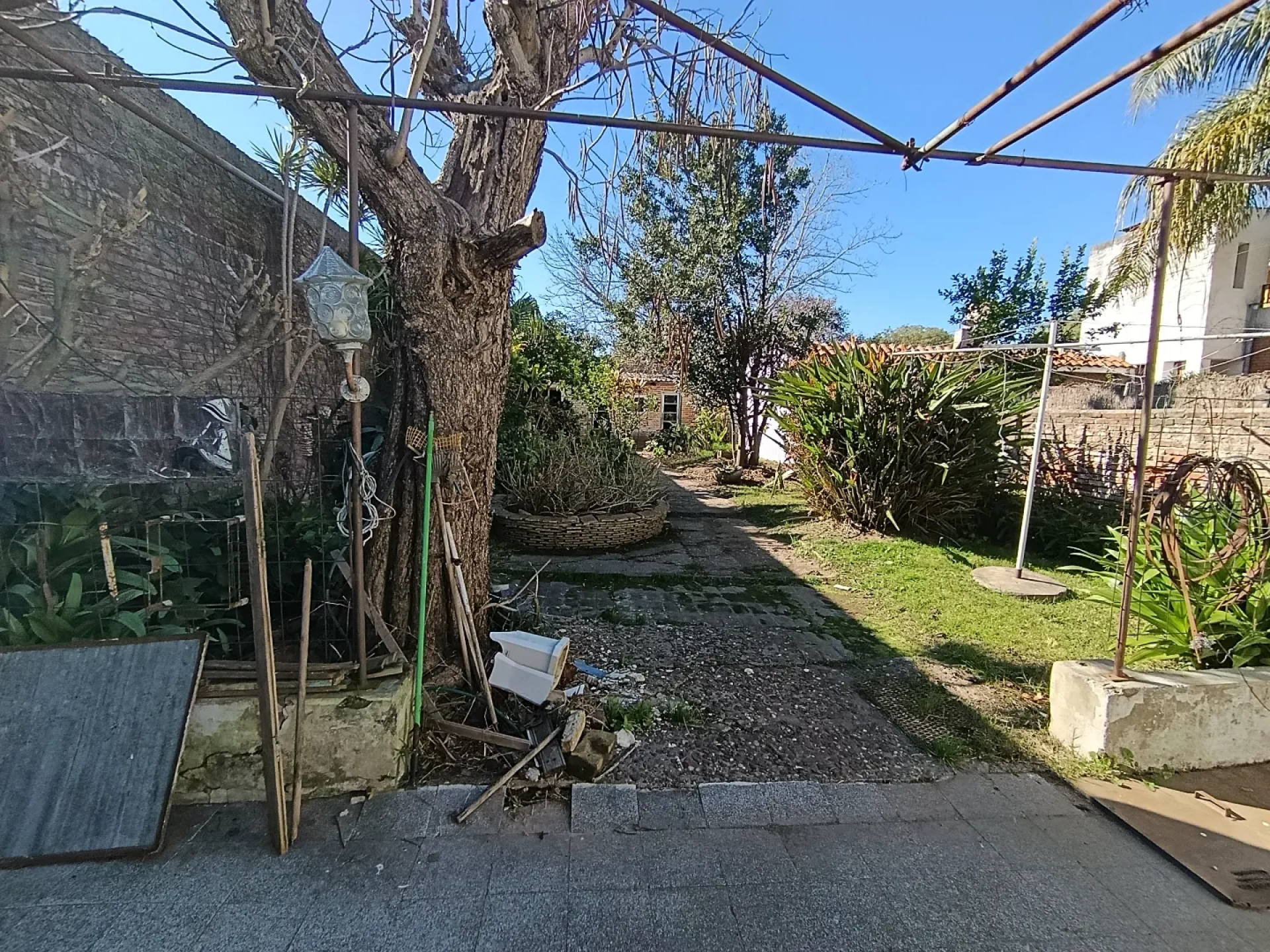 image 14