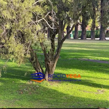 1783437881.jpg