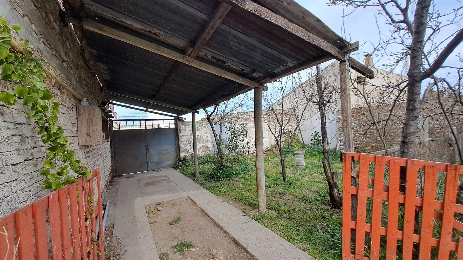 image 14