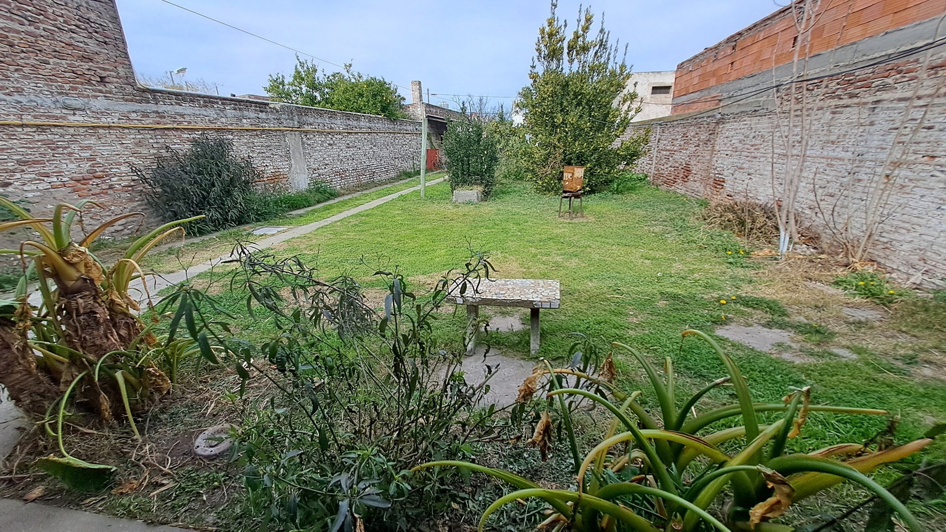 image 15