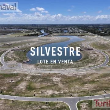 POR QUÉ VIVIR EN UN LOTE EN EL BARRIO SILVESTRE NORDELTA, VENTA 585M2? (Video)
