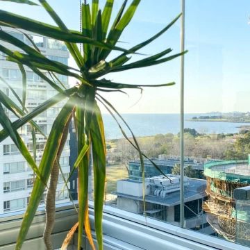 HORIZONS - Piso alto, 2 Ambientes en alquiler
