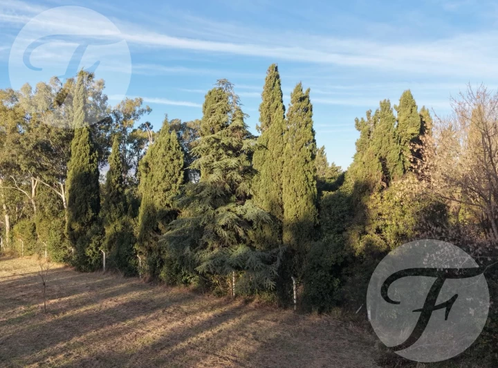 Lote de 4.028 m² en Villa Jardín | San Pedro, Buenos Aires | Entorno arbolado