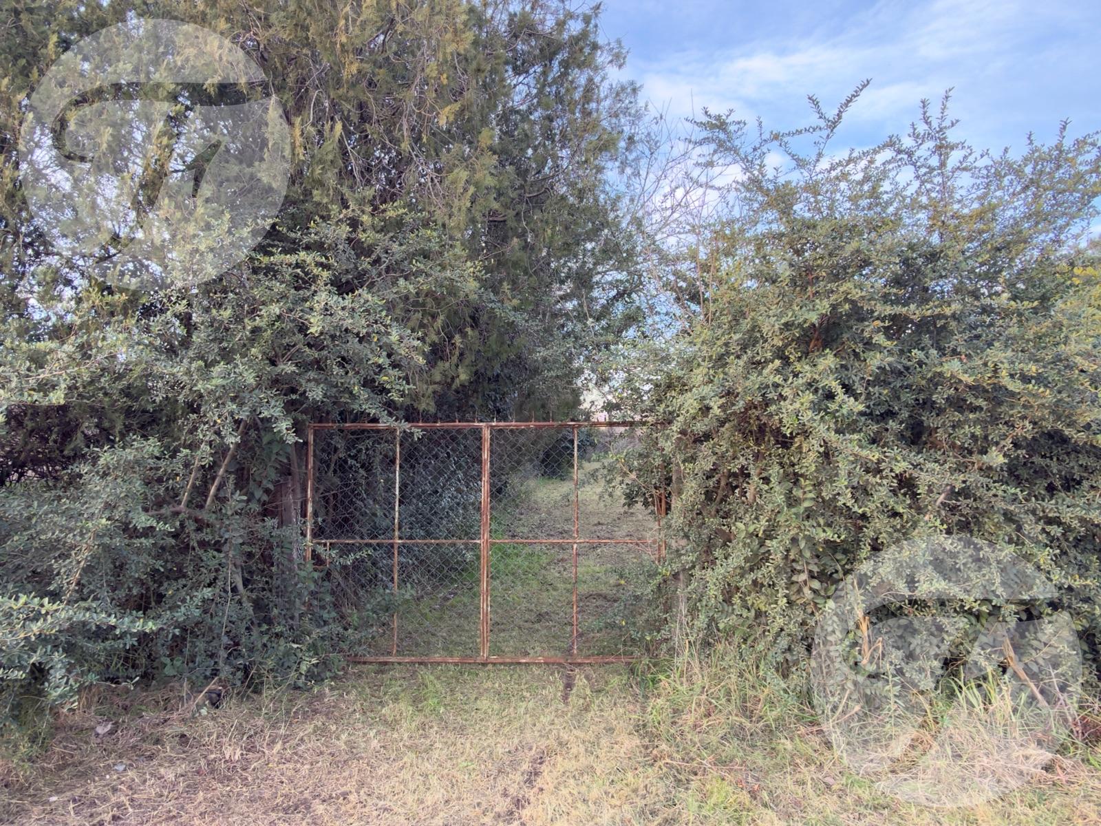 image 13