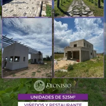 Barrio cerrado Dionisio 300