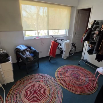 1783527881.jpg