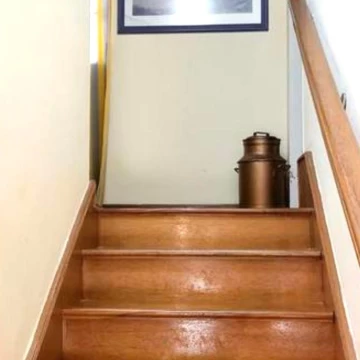 1783531505.jpg