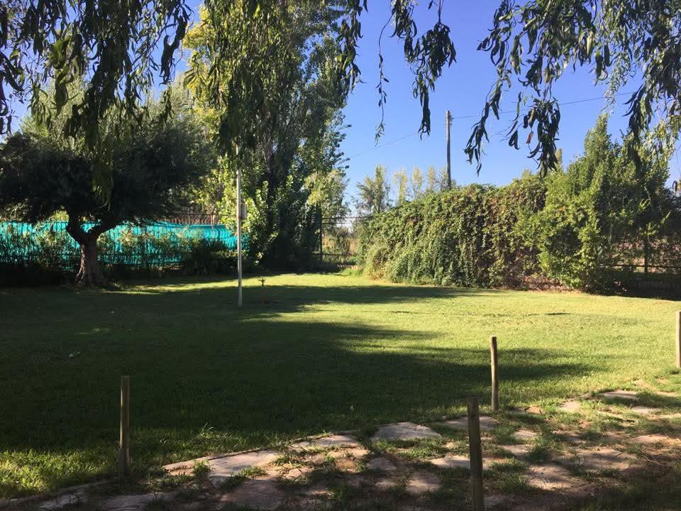 image 23
