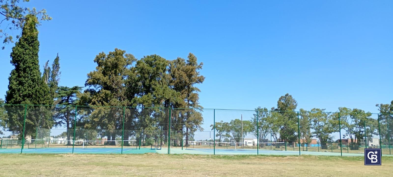 image 36