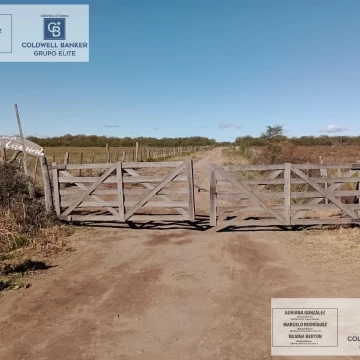 Terreno en venta  en Carpinteria san luis