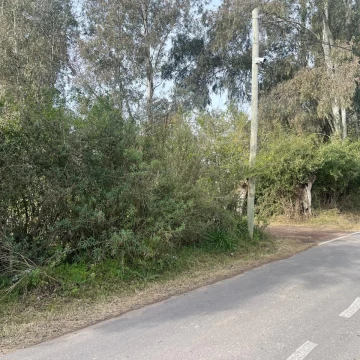 Campo en VIlla Rosa