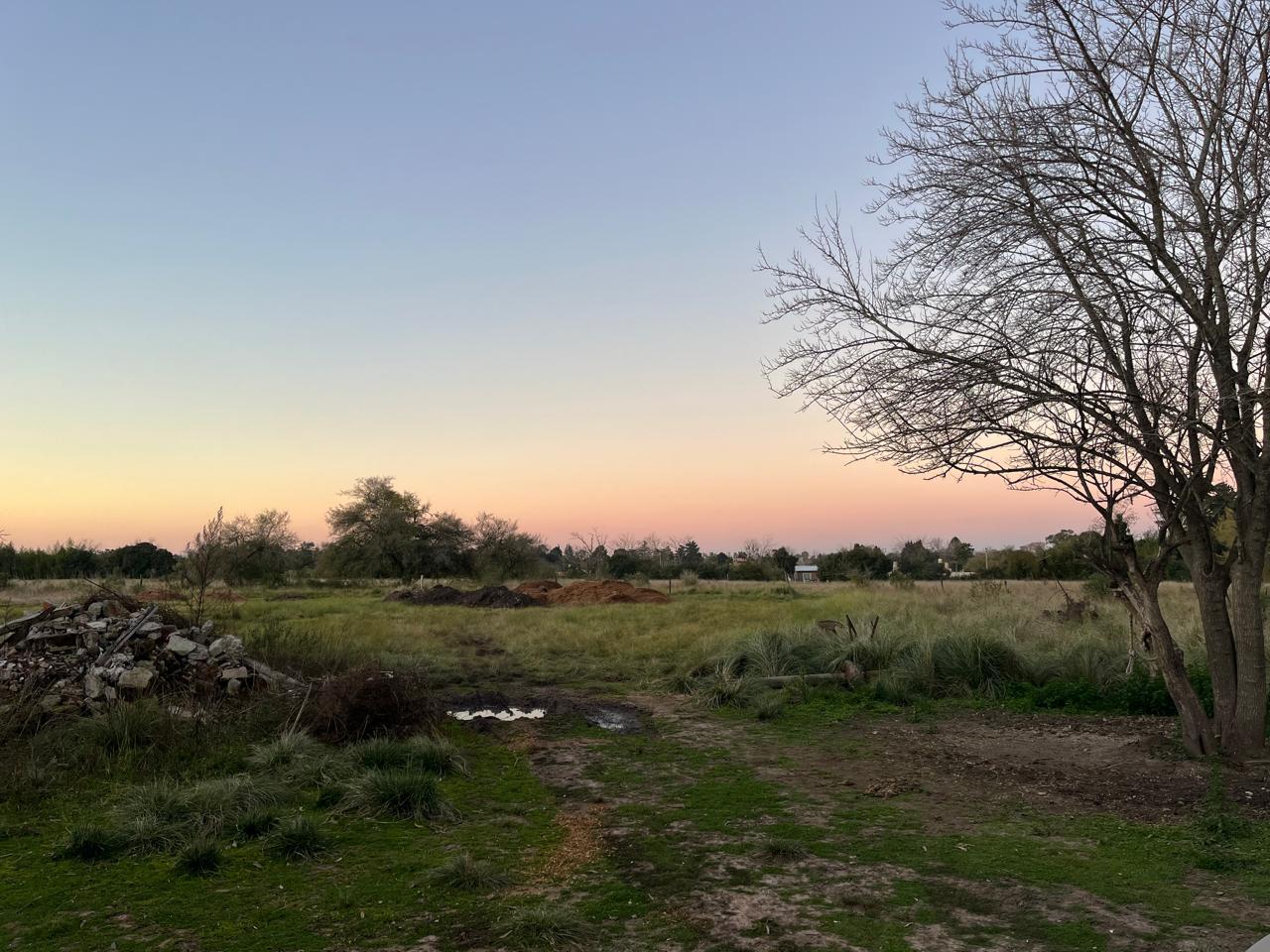 image 14