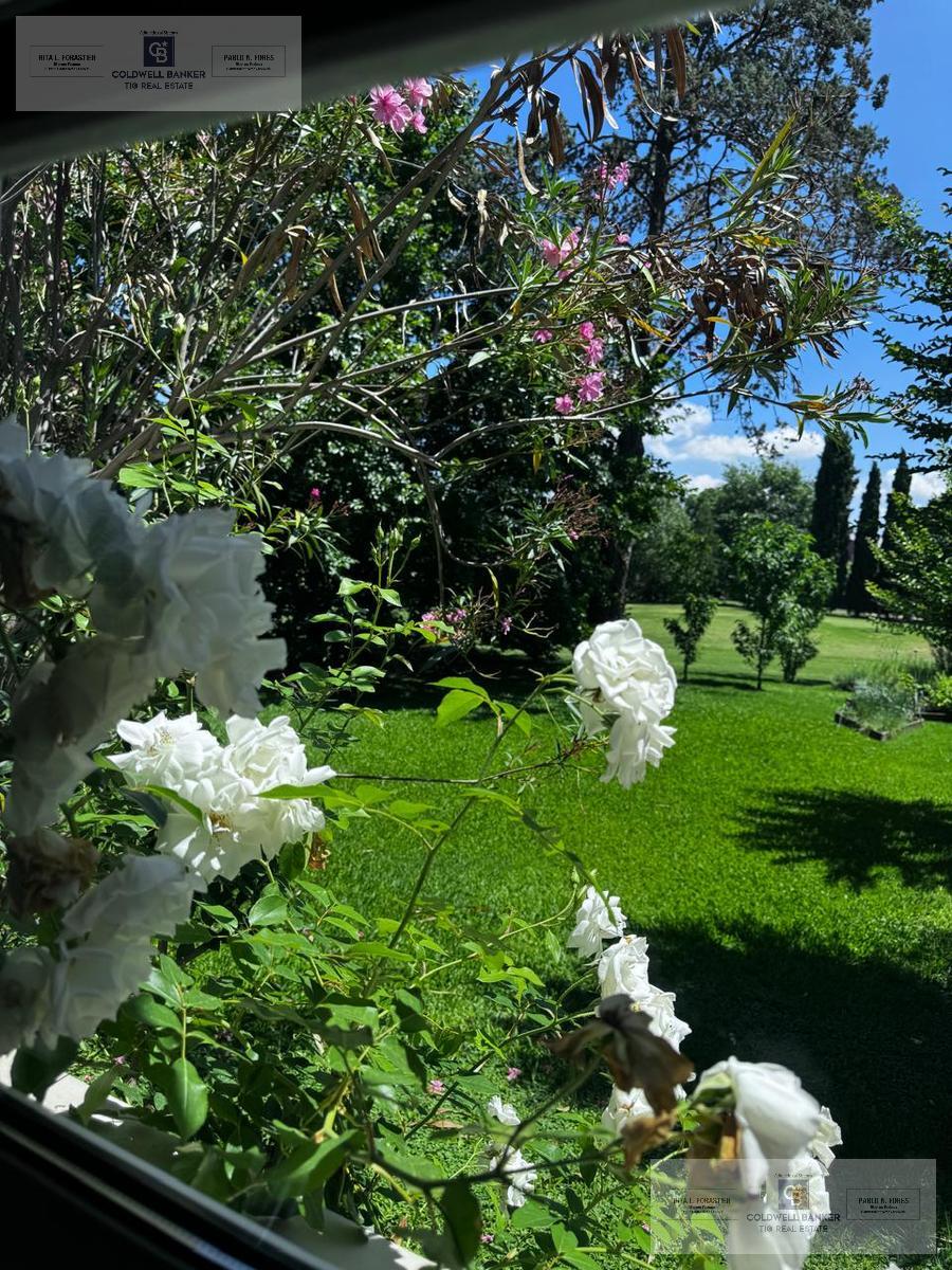 image 28