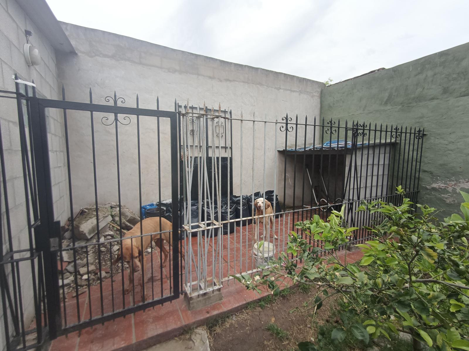 image 30