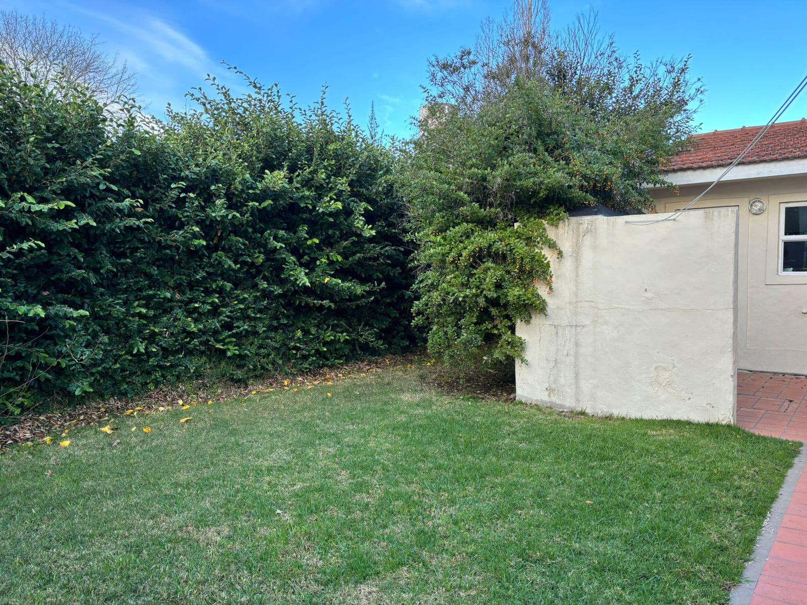 image 29