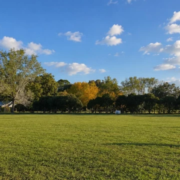 Lote Exclusivo de 716 m² Lindero a Entorno Natural | Barrio E (5)