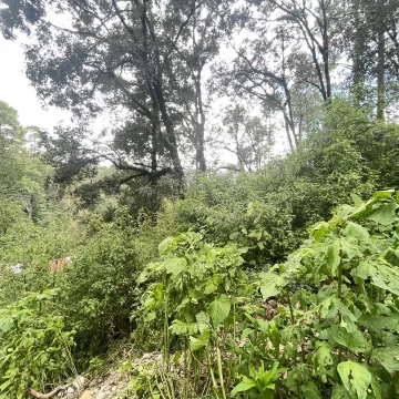 Terreno en venta en Valle de Bravo, San Simon