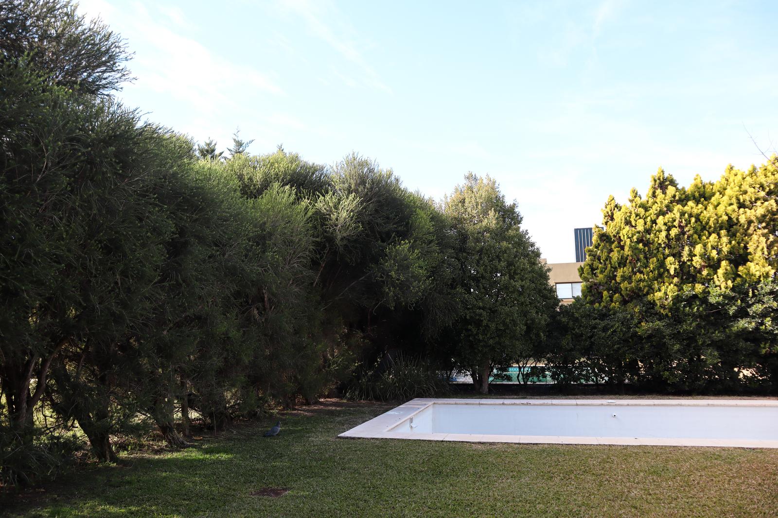 image 35