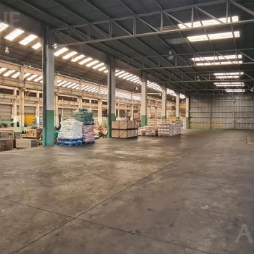 Nave Industrial - Alquiler - El Triángulo
