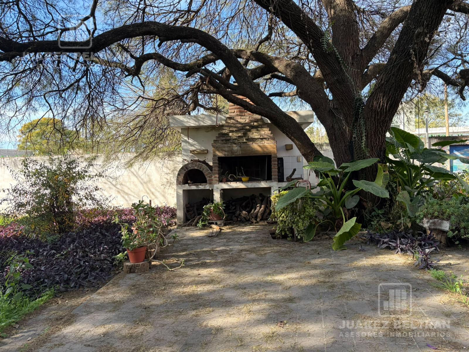 image 14