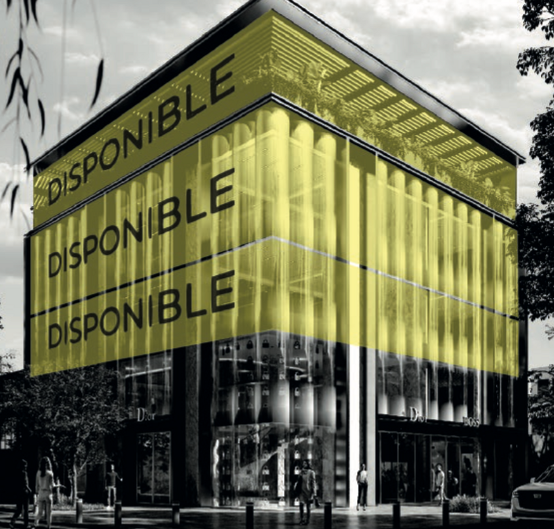 Local Polanco, Masaryk - 4.png