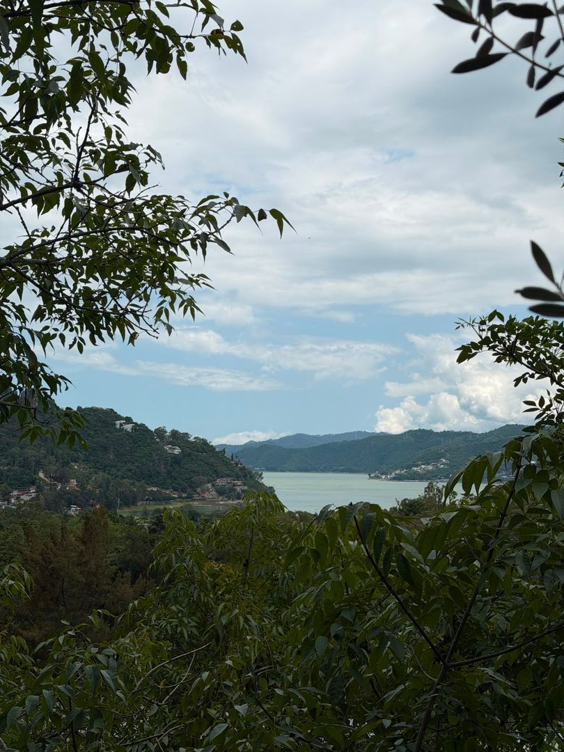 WhatsApp Image 2026-07-13 at 15.22.44 (5).jpeg