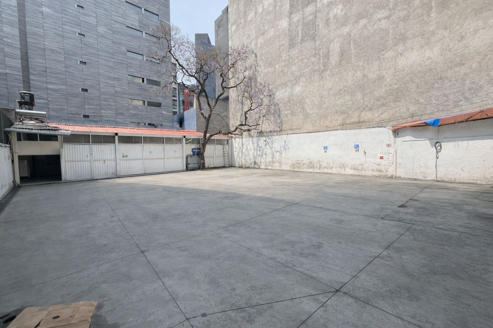 1000449601.jpg