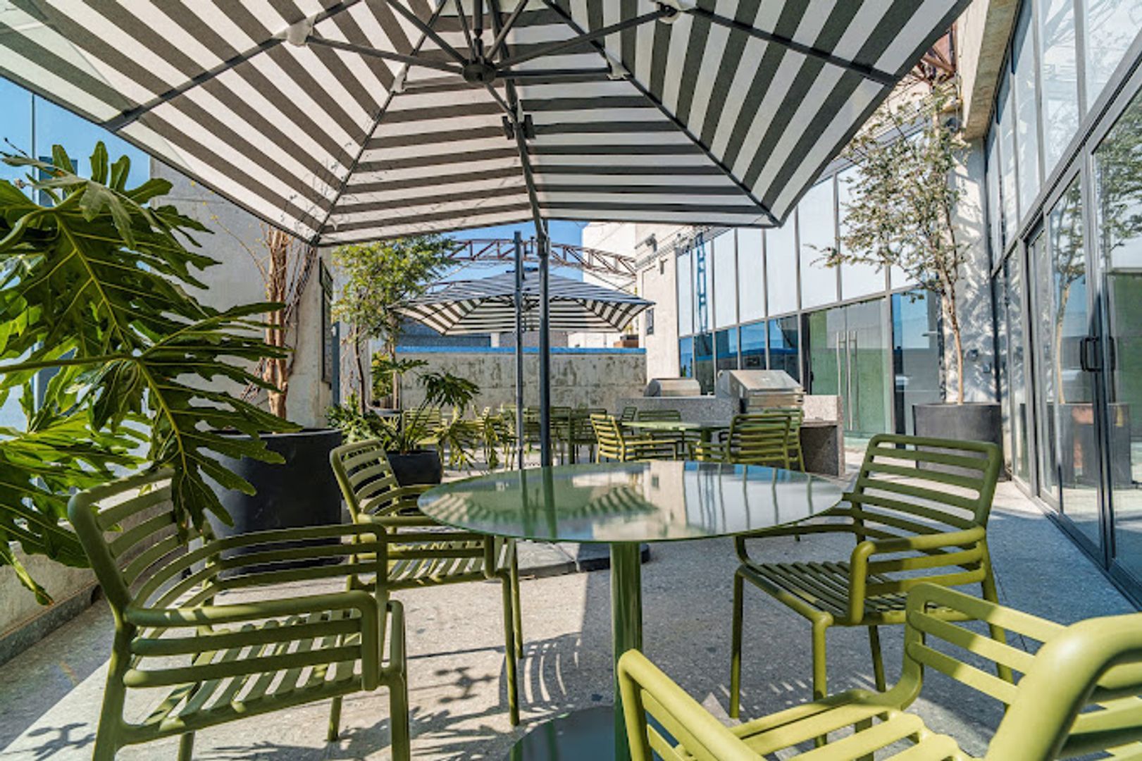 roof garden.jpeg