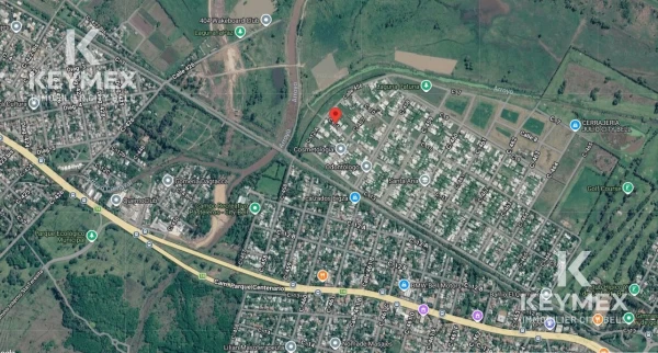 1784041941.jpg