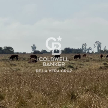 Campo en San Cristobal