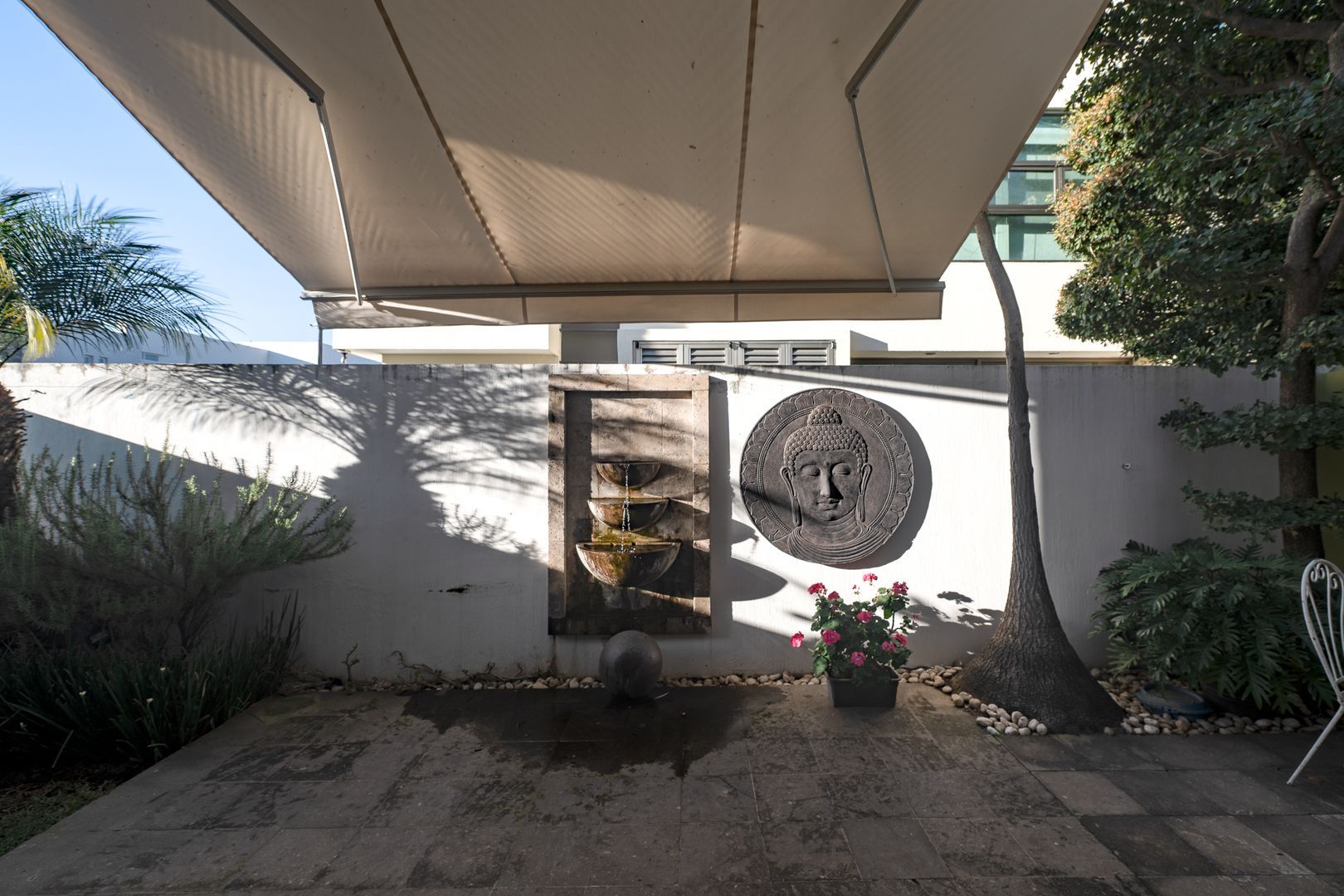 foto20.jpg