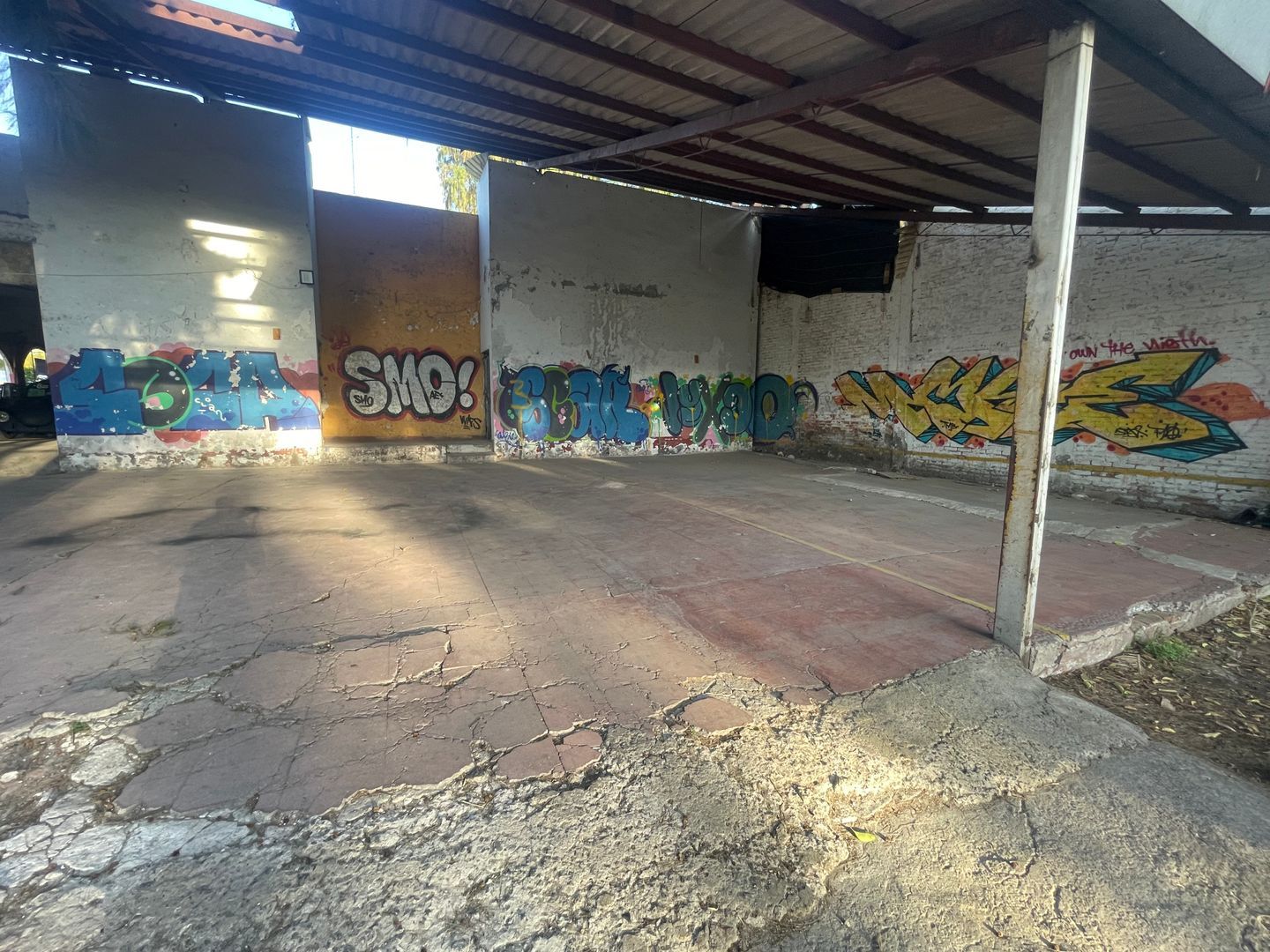IMG_4281.jpeg