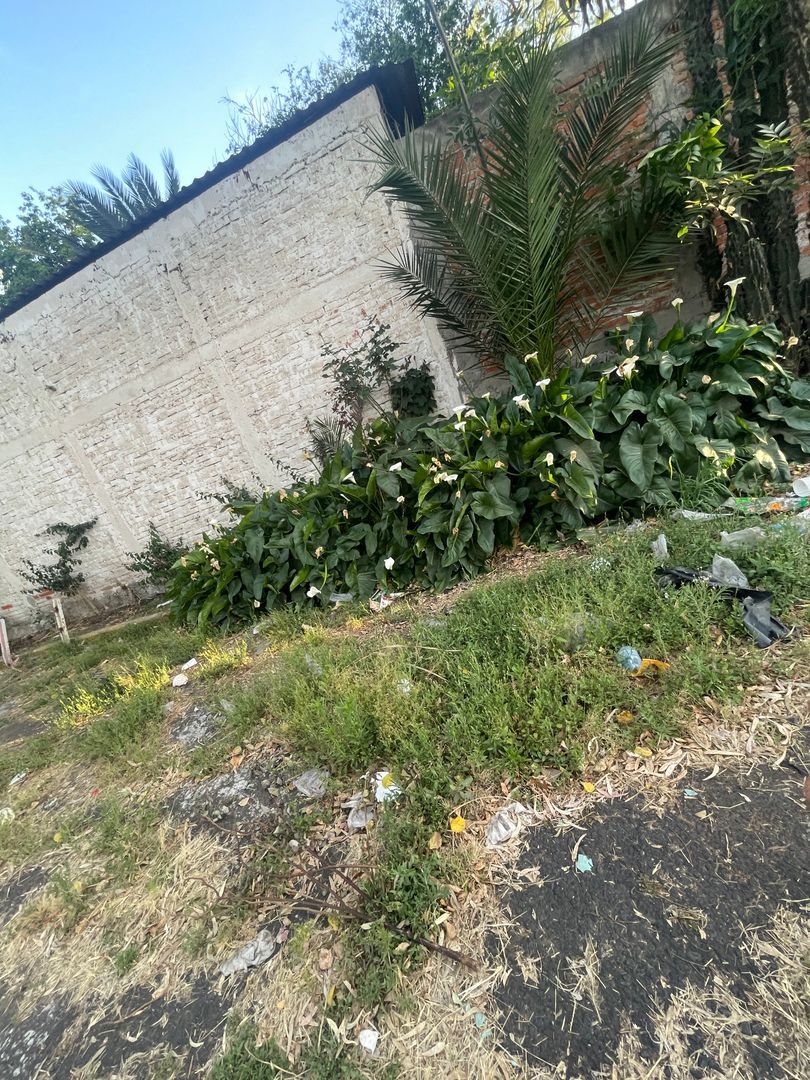 IMG_4275.jpeg