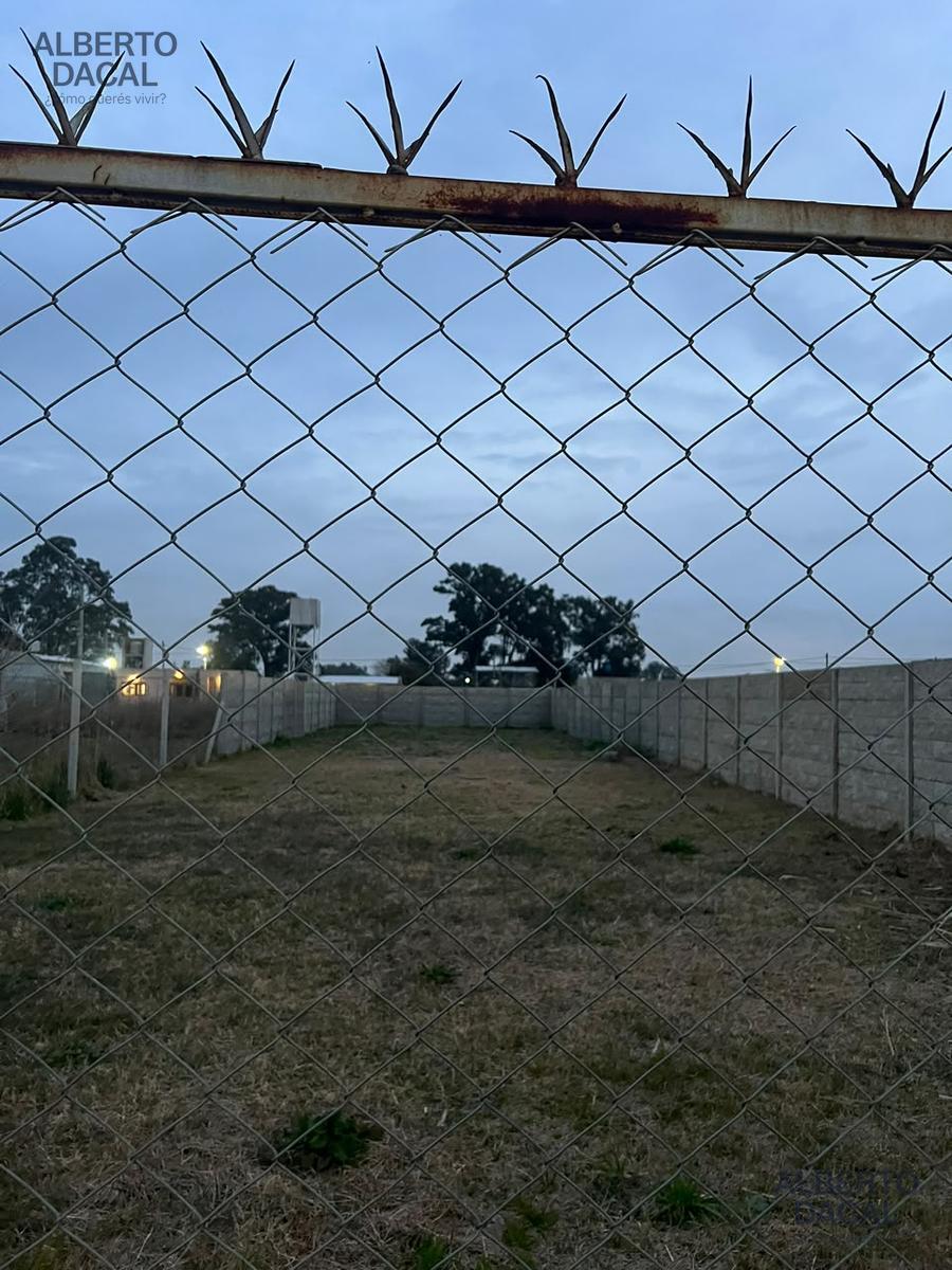 image 15