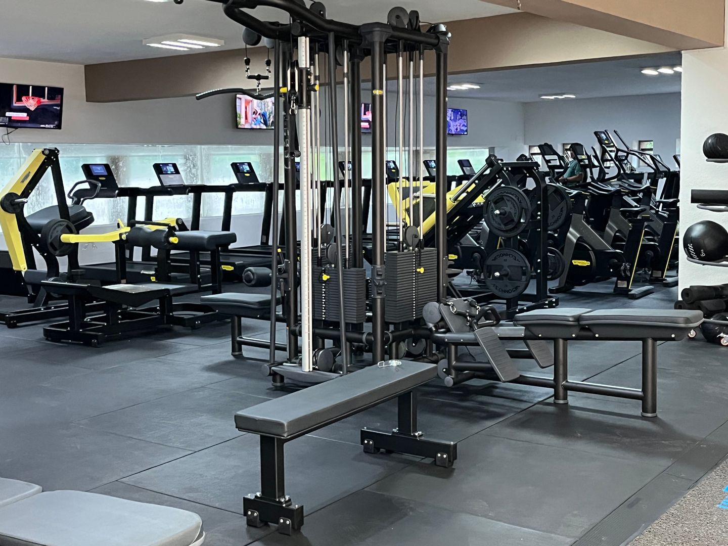 gimnasio.jpeg