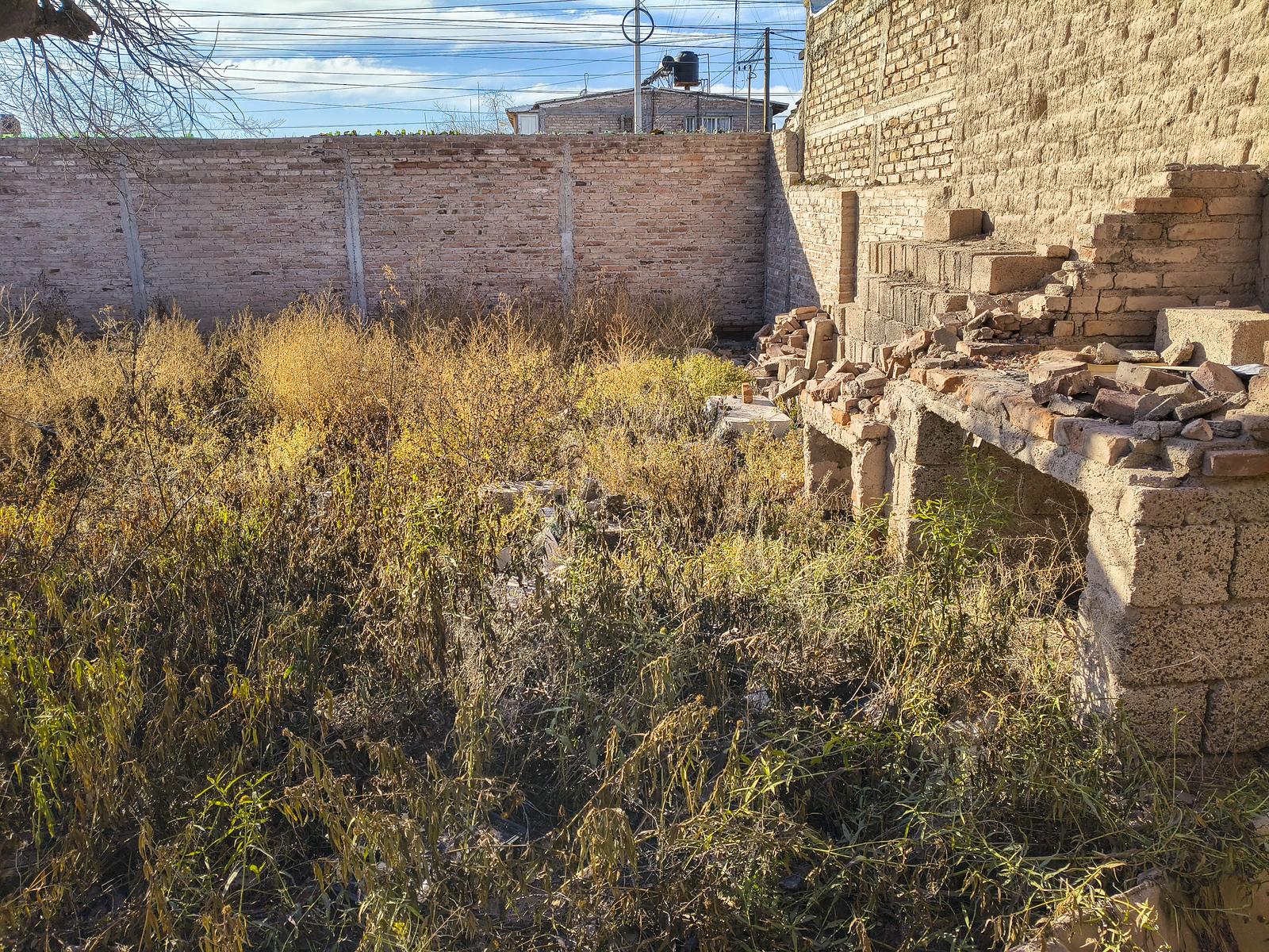image 13