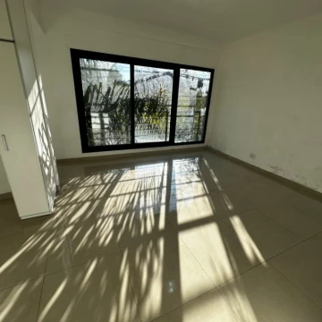 Nemesio Alvarez 575