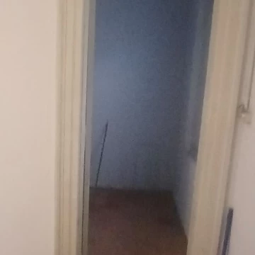 1784211441.jpeg