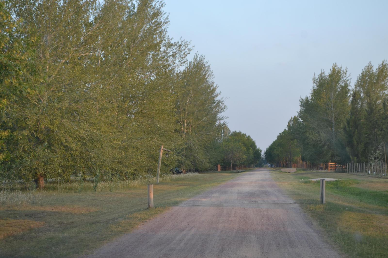 image 37