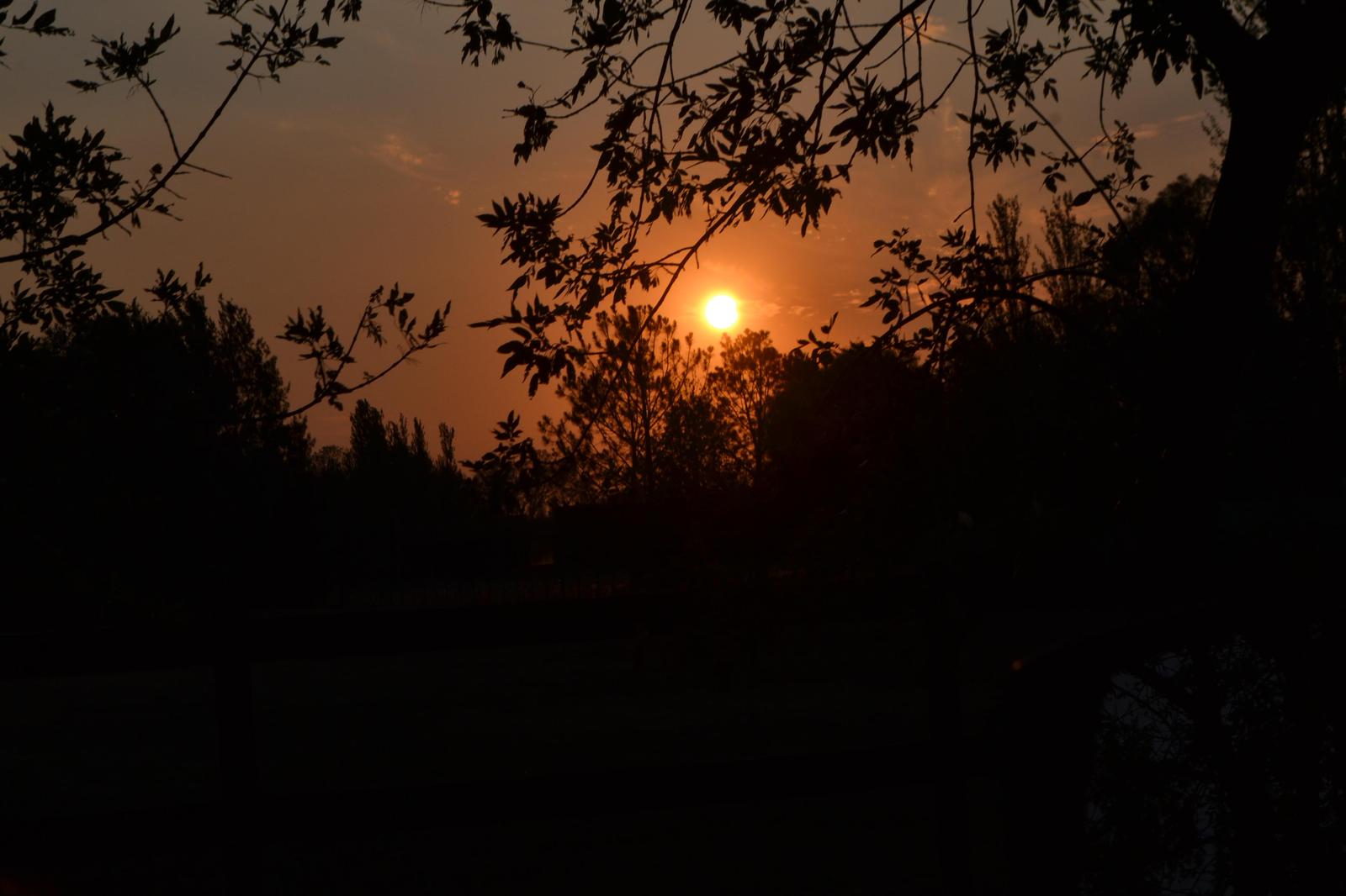 image 51