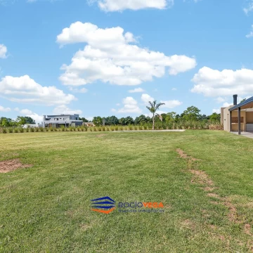1784222693.jpg