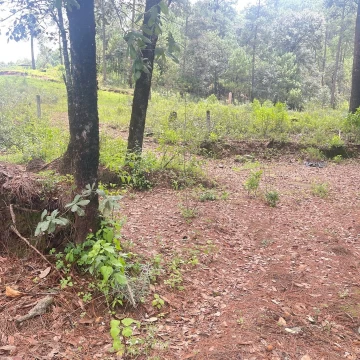 Terreno en venta en Valle de Bravo , San Simon