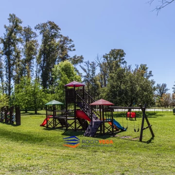 1784226268.jpg
