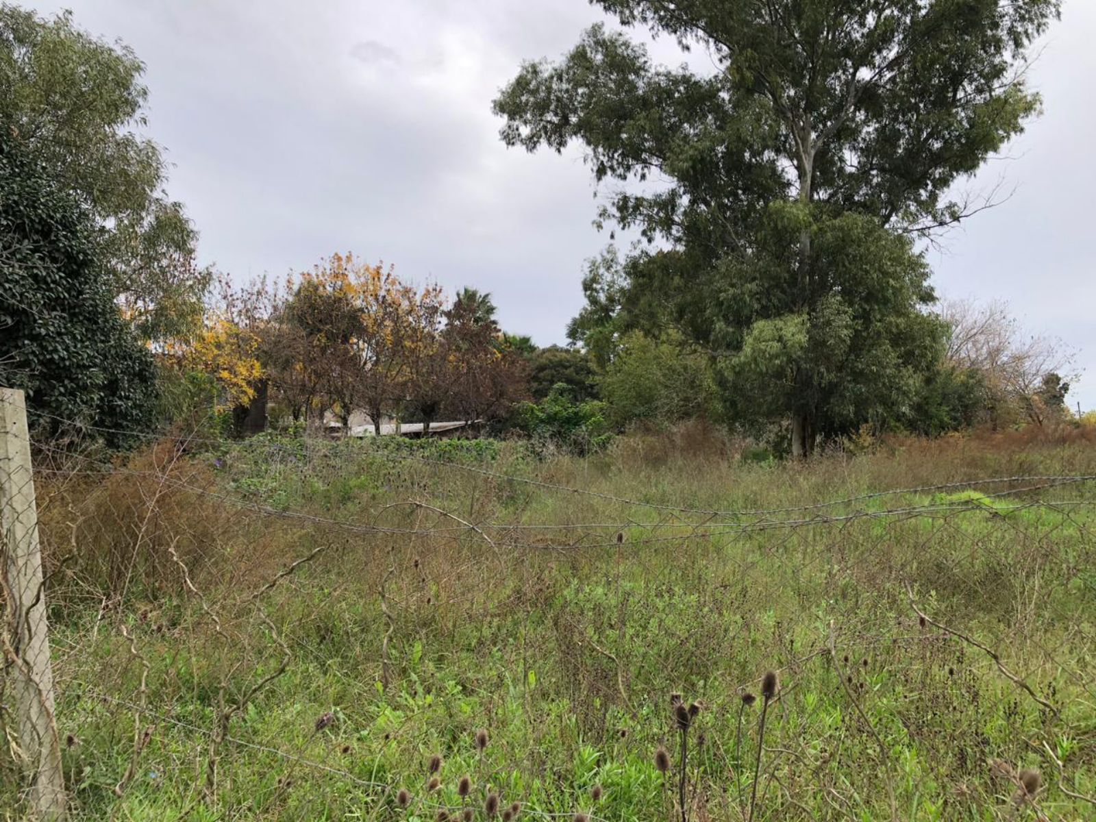 image 14