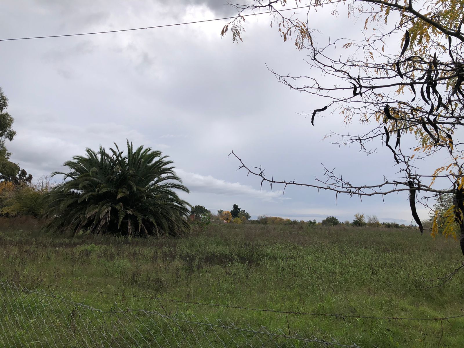 image 17